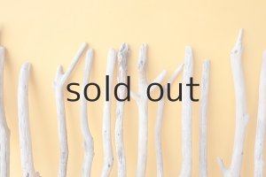 画像6: 小枝流木セット