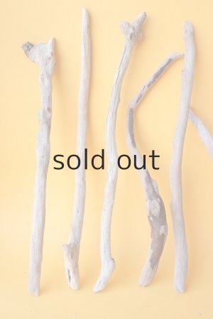 画像2: 小枝流木セット