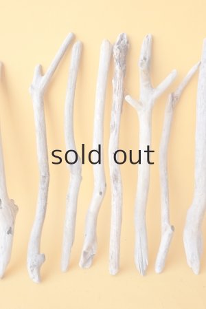 画像3: 小枝流木セット