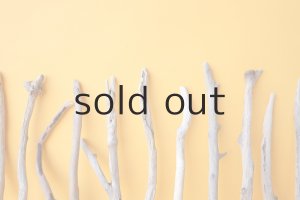 画像6: 小枝流木セット