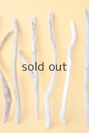 画像3: 小枝流木セット