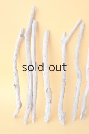 画像2: 小枝流木セット