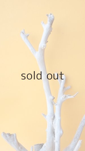 画像3: 小枝流木