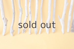 画像5: 小枝流木セット