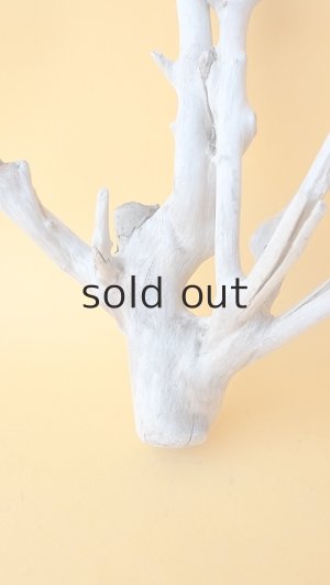 画像2: 小枝流木