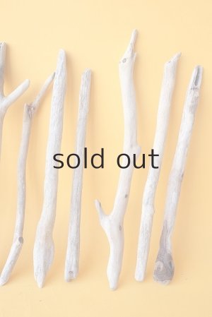 画像4: 小枝流木セット