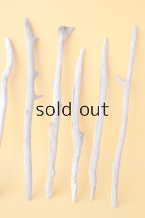 画像4: 小枝流木セット