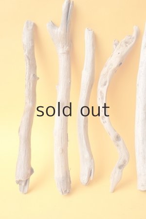 画像2: 小枝流木セット