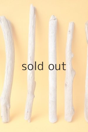 画像3: 小枝流木セット