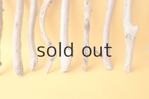 画像5: 小枝流木セット