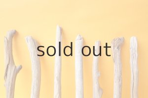 画像6: 小枝流木セット