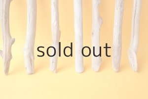 画像5: 小枝流木セット