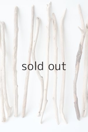 画像3: 小枝流木セット