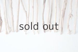 画像6: 小枝流木セット