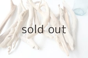 画像6: 小枝流木セット