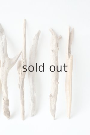 画像5: 小枝流木セット