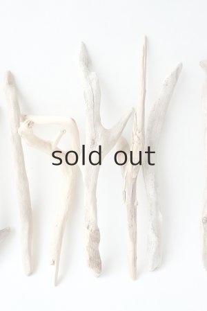 画像4: 小枝流木セット