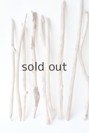 画像2: 小枝流木セット