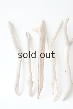 画像2: 小枝流木セット