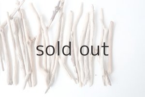 画像4: 小枝流木セット