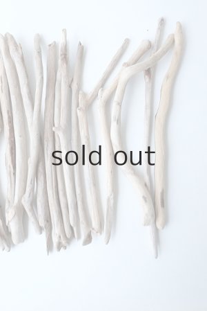 画像4: 小枝流木セット