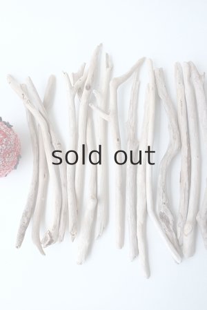 画像2: 小枝流木セット