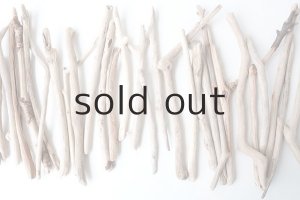 画像3: 小枝流木セット