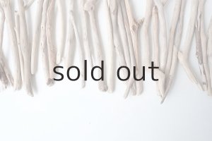 画像5: 小枝流木セット