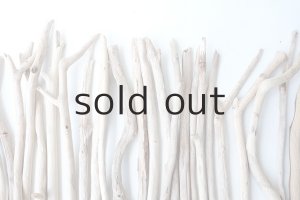 画像6: 小枝流木セット