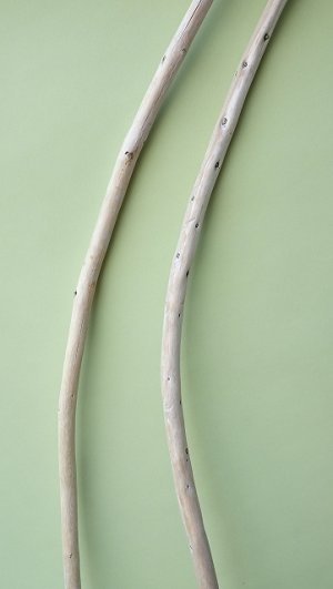 画像3: 棒流木セット