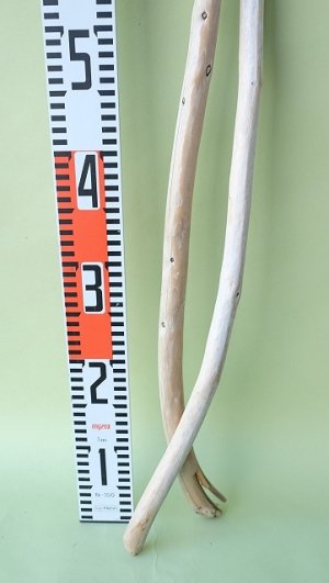 画像5: 棒流木セット