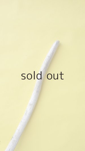 画像5: 流木根（中型）