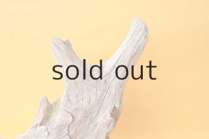 画像3: 変形流木（中型）