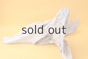 画像8: 変形流木（中型）