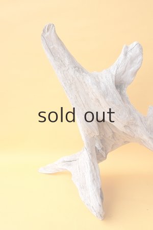 画像4: 変形流木（中型）