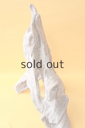 画像6: 変形流木（中型）