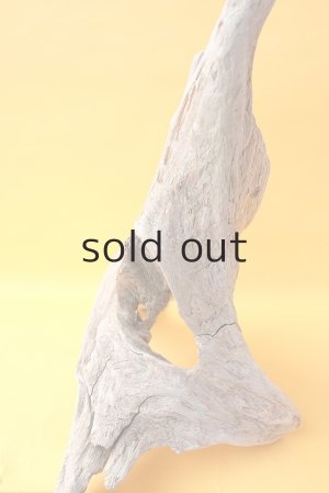 画像7: 変形流木（中型）