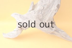 画像2: 変形流木（中型）