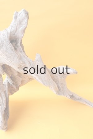 画像5: 変形流木（中型）