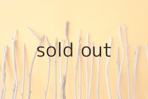 画像7: 小枝流木セット