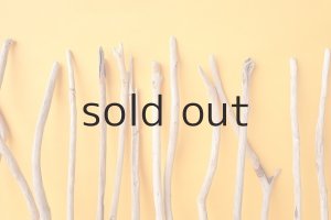 画像7: 小枝流木セット