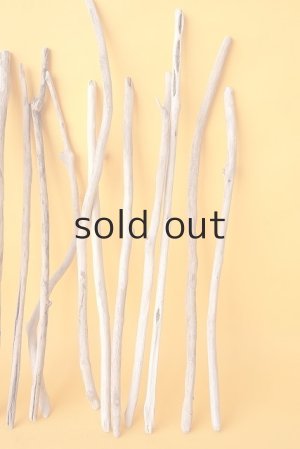 画像5: 小枝流木セット