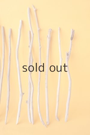 画像5: 小枝流木セット