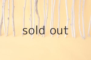 画像6: 小枝流木セット