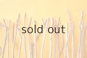 画像7: 小枝流木セット