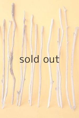 画像4: 小枝流木セット