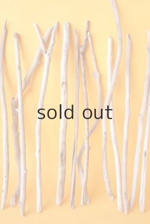 画像4: 小枝流木セット