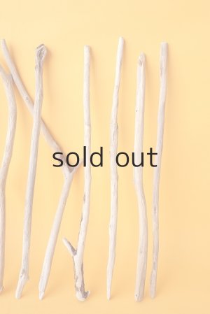 画像5: 小枝流木セット