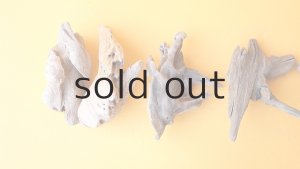 画像6: 変形流木セット