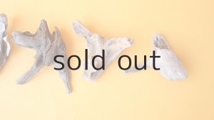 画像3: 変形流木セット